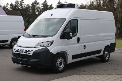 Fiat Ducato Tageszulassung