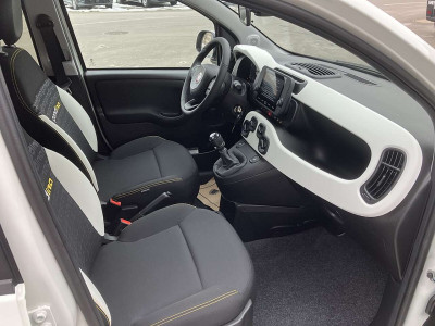 Fiat Panda Vorführwagen