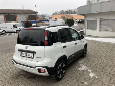 Fiat Panda Vorführwagen