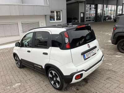 Fiat Panda Vorführwagen
