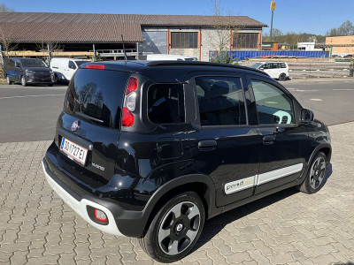 Fiat Panda Vorführwagen