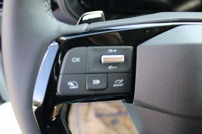 Fiat Doblo Tageszulassung