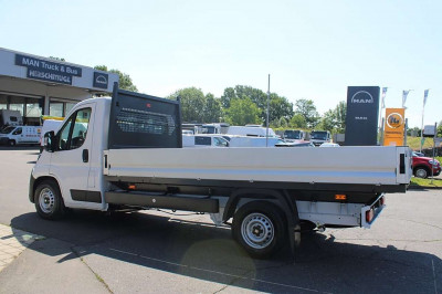 Fiat Ducato Tageszulassung Fiat Ducato Tageszulassung