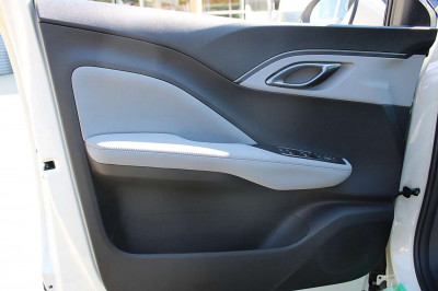 BYD Dolphin Surf Neuwagen