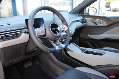BYD Dolphin Surf Neuwagen