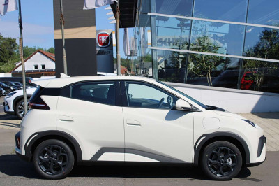 BYD Dolphin Surf Neuwagen