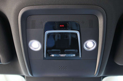 BYD Dolphin Surf Neuwagen