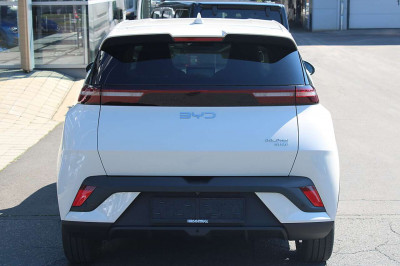 BYD Dolphin Surf Neuwagen