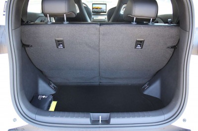 BYD Dolphin Surf Neuwagen