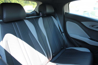 BYD Dolphin Surf Neuwagen