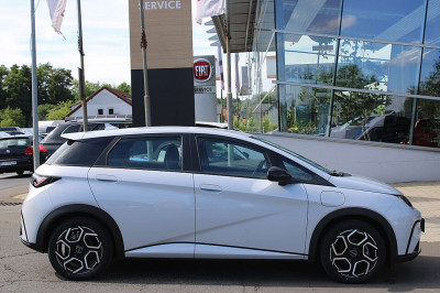 BYD Dolphin Neuwagen
