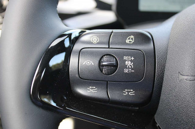 BYD Dolphin Neuwagen