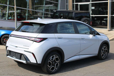 BYD Dolphin Neuwagen
