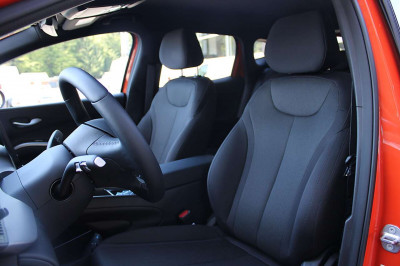 BYD Dolphin Vorführwagen