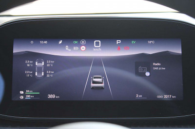 BYD Dolphin Vorführwagen
