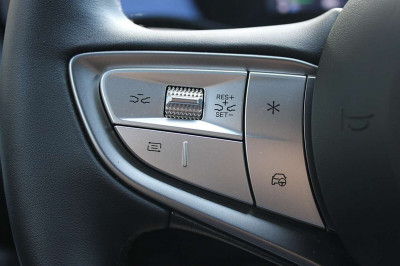BYD Dolphin Vorführwagen