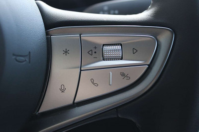 BYD Dolphin Vorführwagen