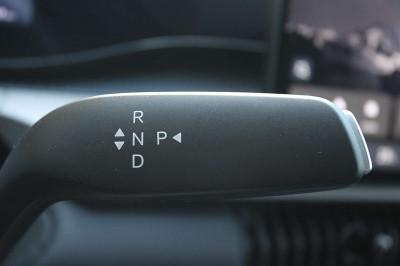 BYD Dolphin Vorführwagen