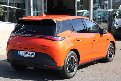 BYD Dolphin Vorführwagen