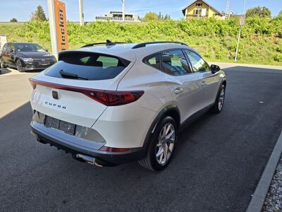 Cupra Formentor Gebrauchtwagen Cupra Formentor Gebrauchtwagen