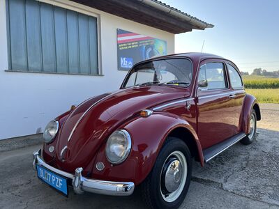 VW Käfer Fahrzeuge - sofort verfügbar von österreichischen