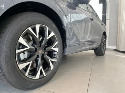 Cupra Terramar Gebrauchtwagen