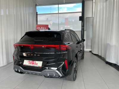 Cupra Terramar Gebrauchtwagen Cupra Terramar Gebrauchtwagen