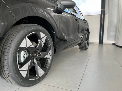 Cupra Terramar Gebrauchtwagen Cupra Terramar Gebrauchtwagen