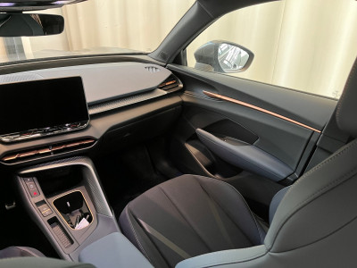 Cupra Terramar Gebrauchtwagen