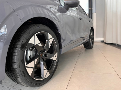 Cupra Terramar Gebrauchtwagen