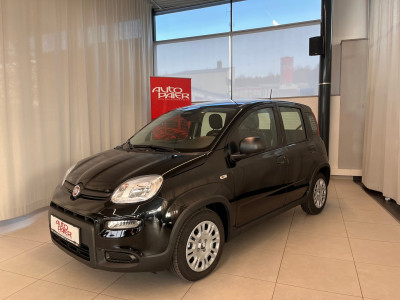 Fiat Panda Gebrauchtwagen