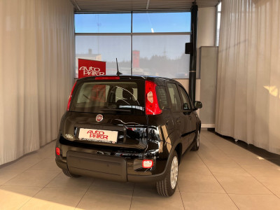 Fiat Panda Gebrauchtwagen