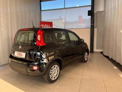 Fiat Panda Gebrauchtwagen