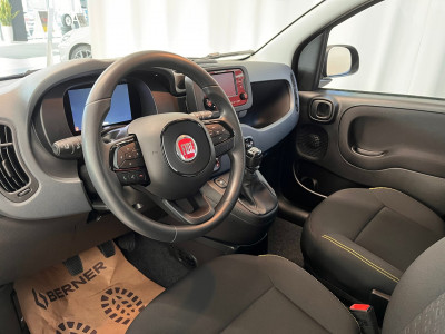 Fiat Panda Gebrauchtwagen