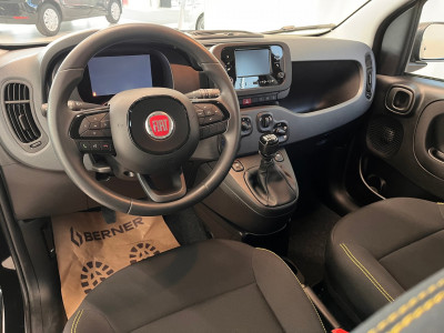 Fiat Panda Gebrauchtwagen