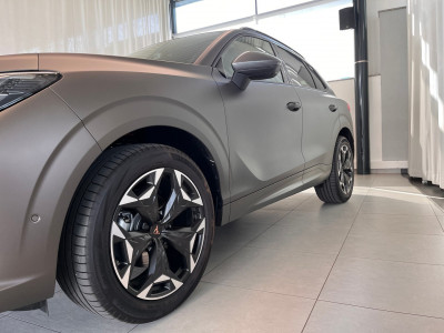 Cupra Terramar Gebrauchtwagen Cupra Terramar Gebrauchtwagen
