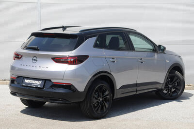 Opel Grandland X Tageszulassung