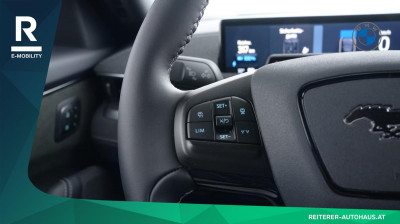 Ford Mustang Mach-E Gebrauchtwagen Ford Mustang Mach-E Gebrauchtwagen