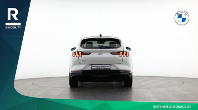 Ford Mustang Mach-E Gebrauchtwagen Ford Mustang Mach-E Gebrauchtwagen