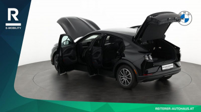 Ford Mustang Mach-E Gebrauchtwagen