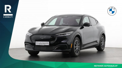 Ford Mustang Mach-E Gebrauchtwagen