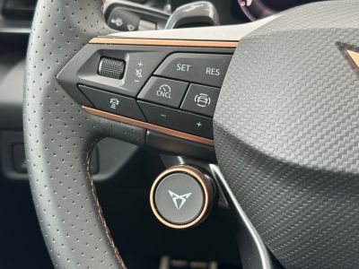 Cupra Terramar Gebrauchtwagen