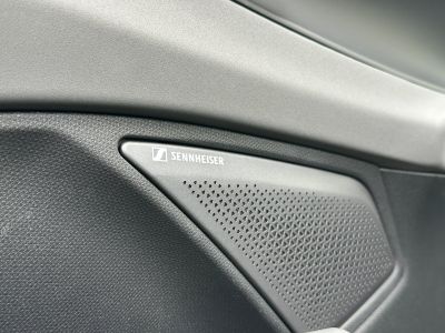 Cupra Terramar Gebrauchtwagen