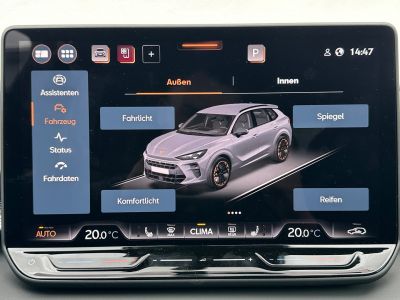 Cupra Terramar Gebrauchtwagen