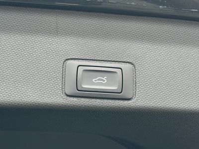 Cupra Terramar Gebrauchtwagen