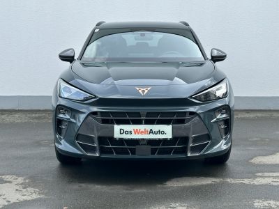 Cupra Terramar Gebrauchtwagen