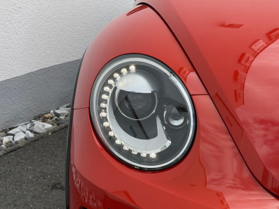 VW Beetle Gebrauchtwagen