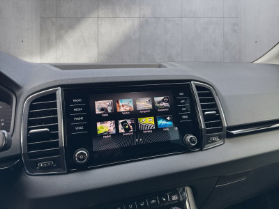 Skoda Karoq Gebrauchtwagen