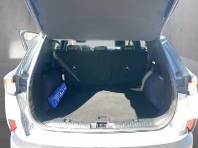 Ford Kuga Gebrauchtwagen Ford Kuga Gebrauchtwagen