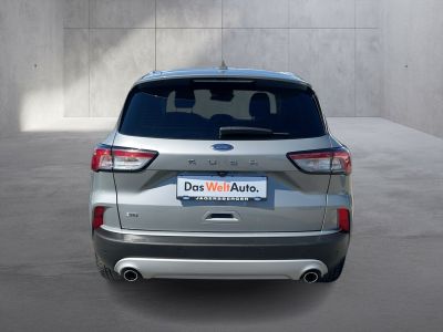 Ford Kuga Gebrauchtwagen Ford Kuga Gebrauchtwagen